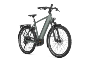 GAZELLE ULTIMATE T11 BOSCH PERFORMANCE LINE
